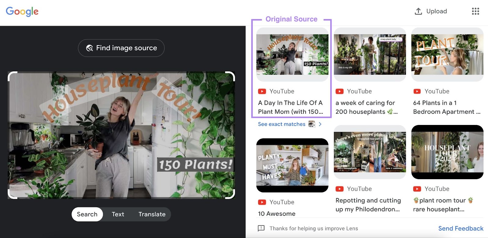 Google lens search results showing original source thumbnail images for a houseplant tour YouTube video