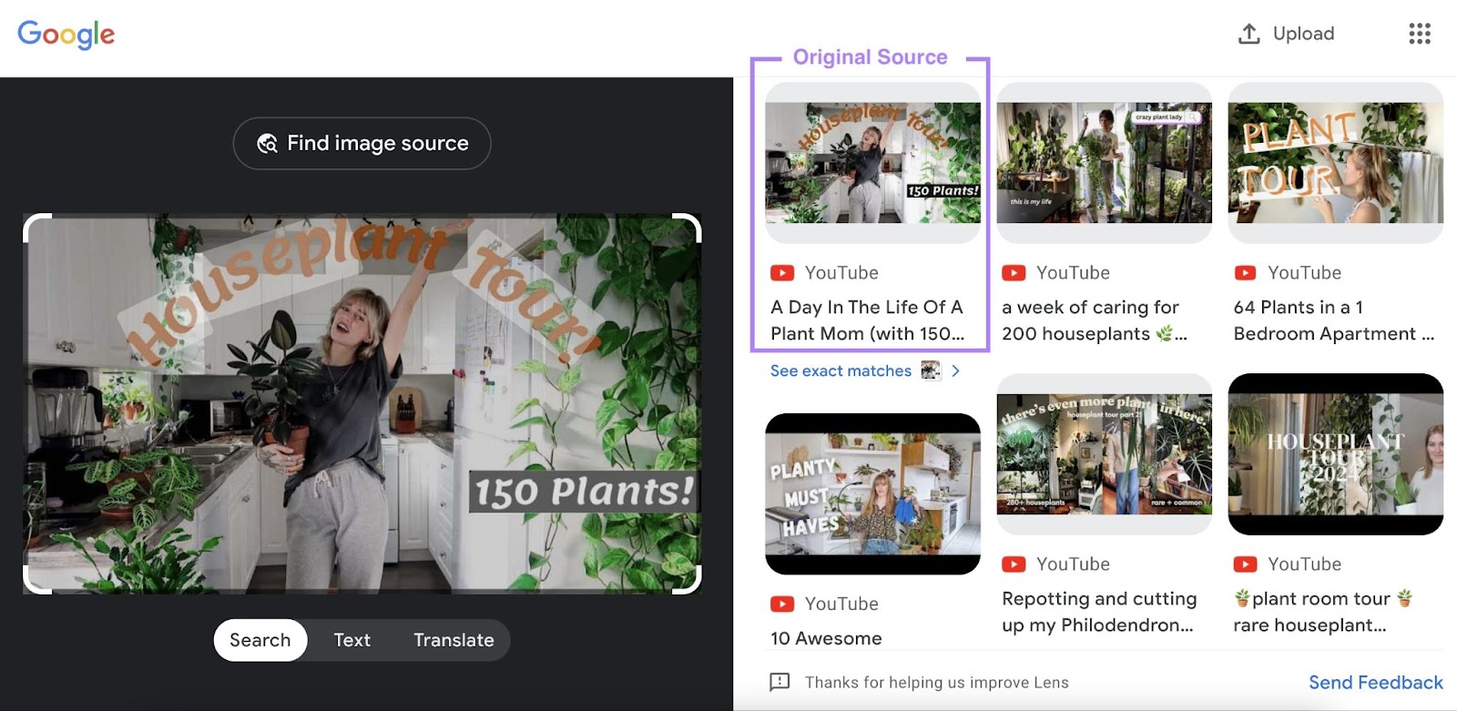 Google lens hunt  results showing archetypal   root   thumbnail images for a houseplant circuit  YouTube video