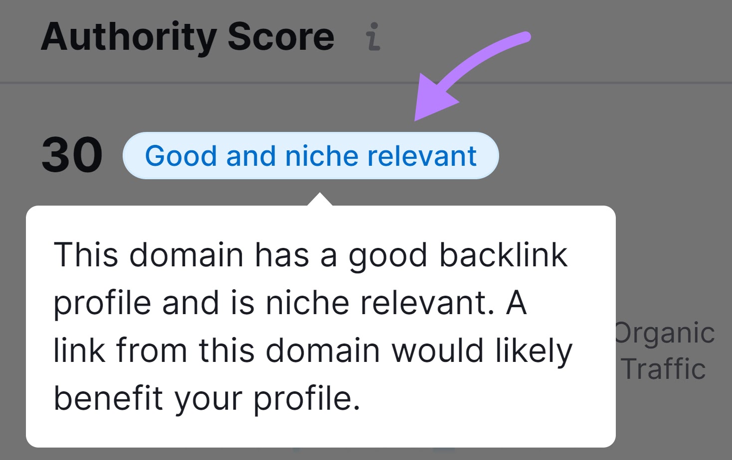 Hovering over "Good and niche relevant" explains the AS in more detail