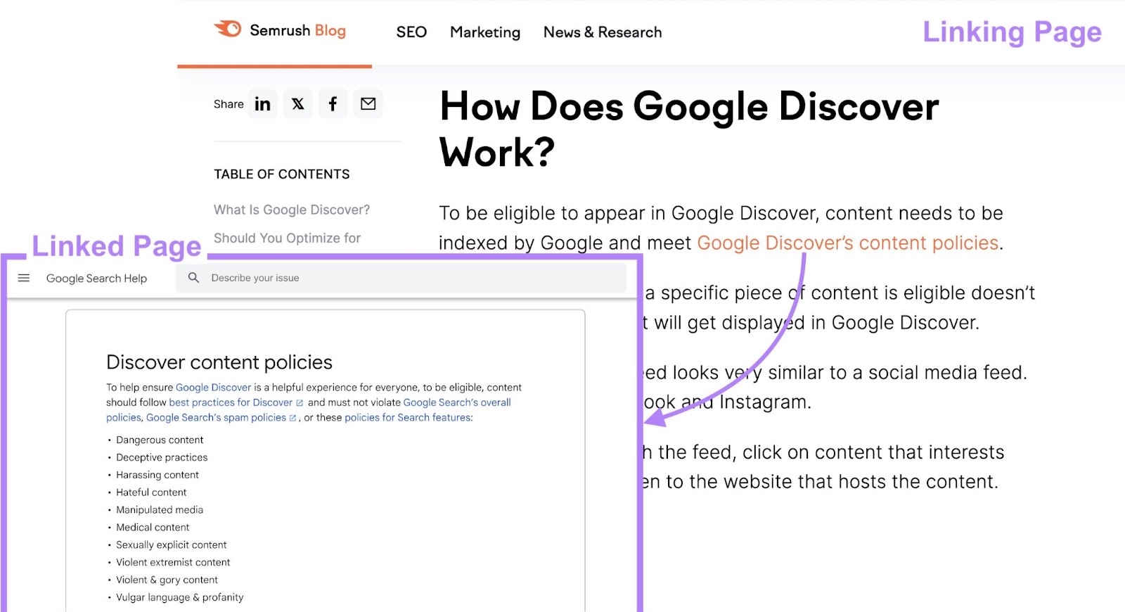 anchor substance   "Google Discover's contented  policies" links to Google's observe   contented  policies