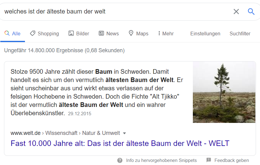 Antwortfeld bei Google