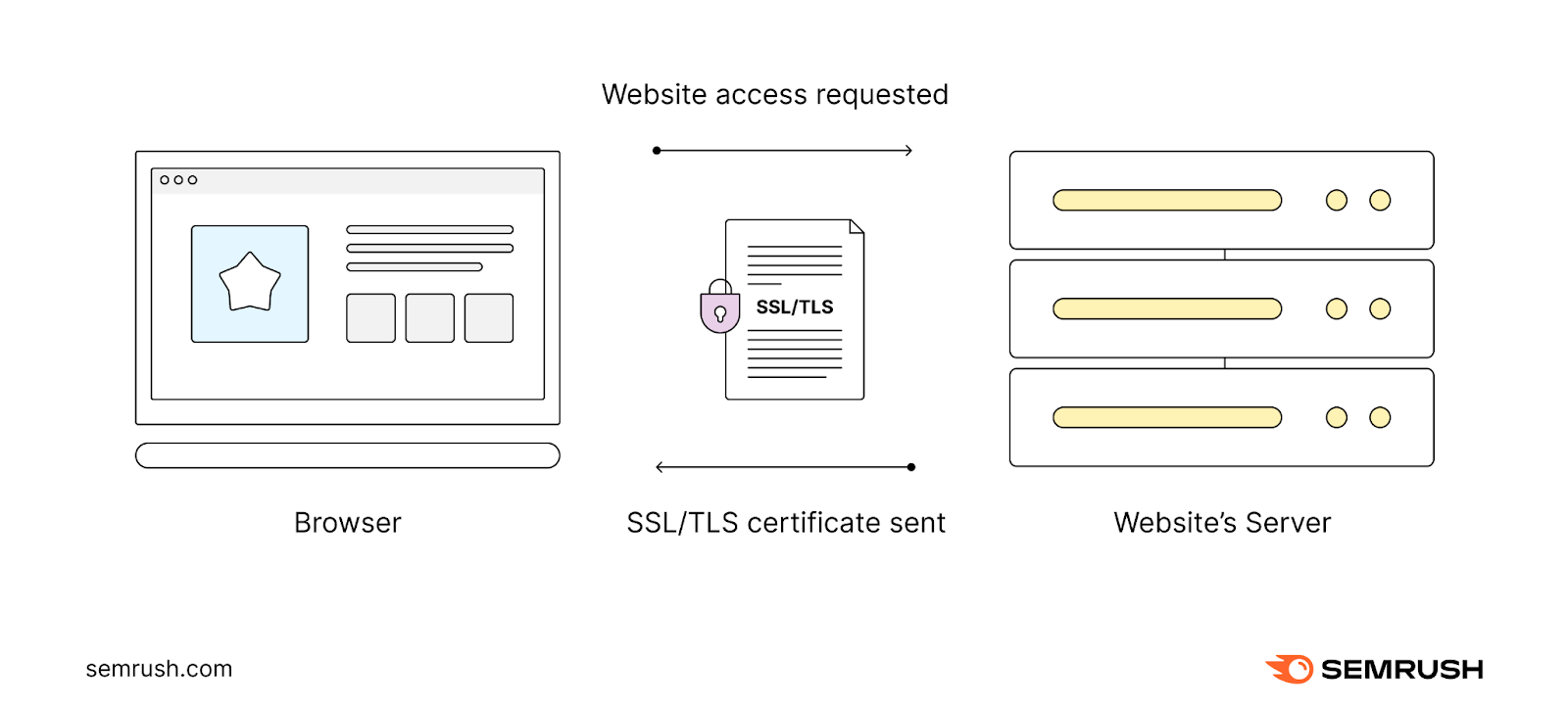 A website's server sending SSL/TLS certificate to a web browser attempting to connect to the website using HTTPS