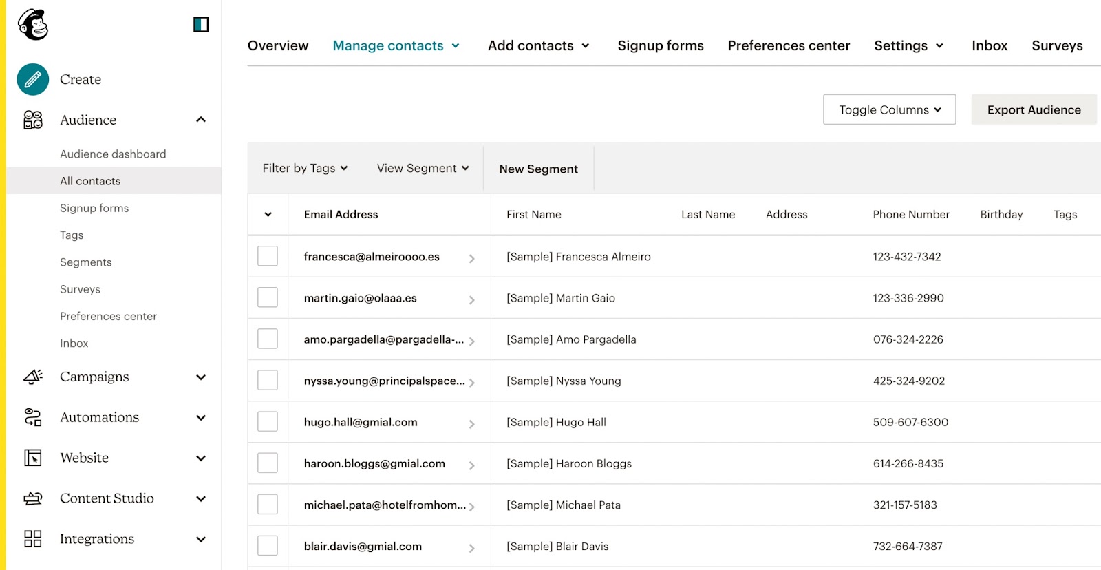 Contact list in Mailchimp's email tool.