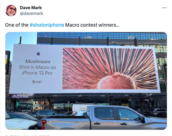 A billboard shared on X, showing "Mushroom Shot in Macro on iPhone 13 Pro"