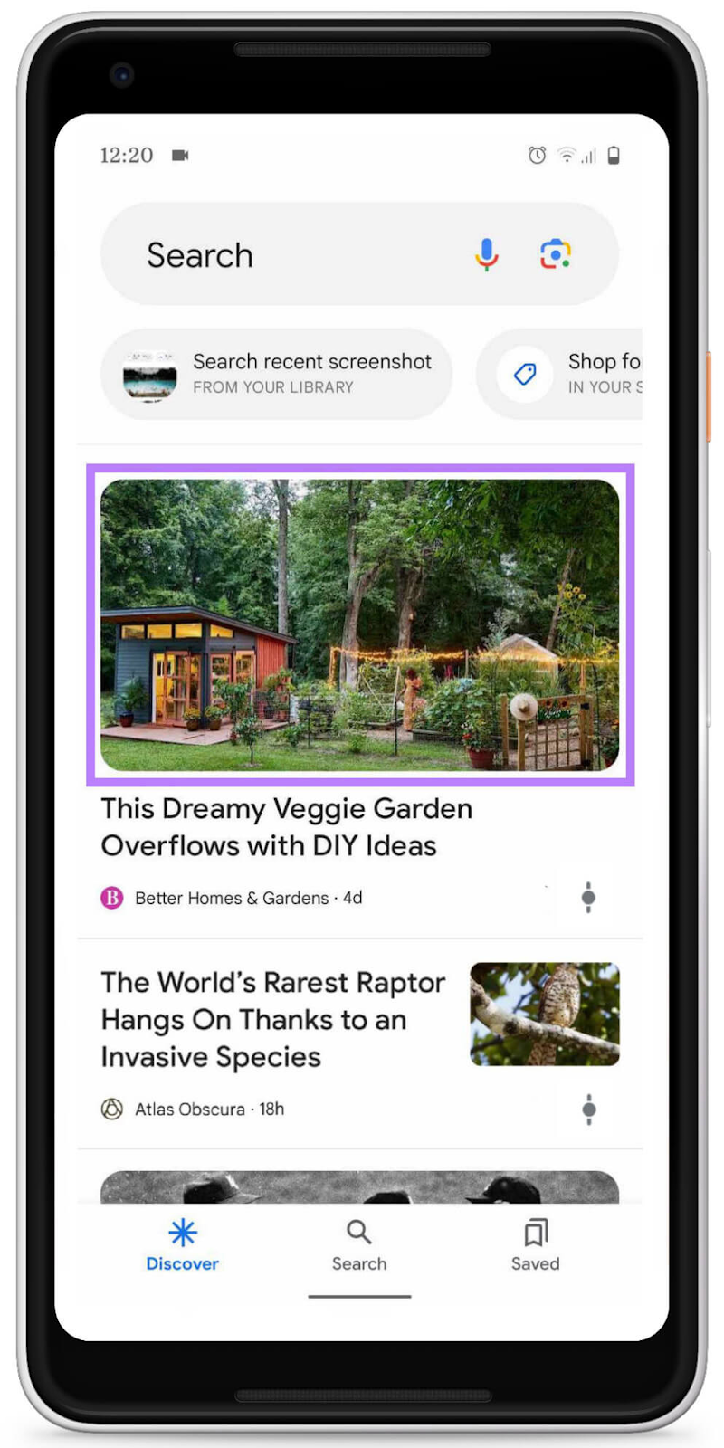 an example of a thumbnail showing a garden in Google Discover for "This Dreamy Veggie Garden Overflows with DIY Ideas" post