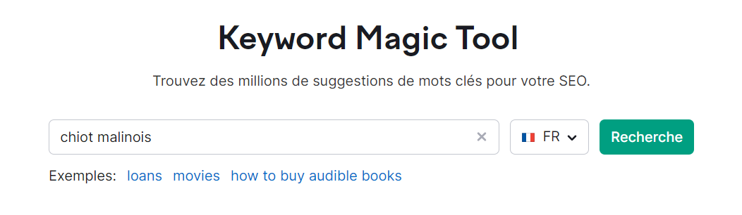 Champ pour saisir les mots clés de Keyword Magic Tool de Semrush