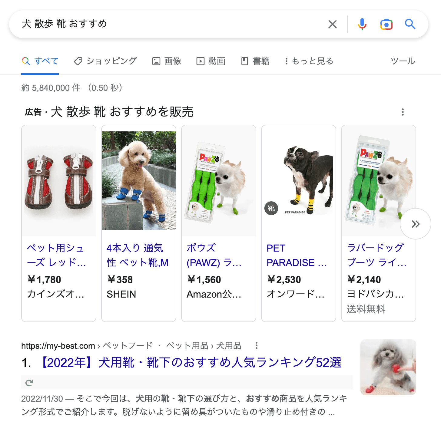 犬 散歩 靴 おすすめ