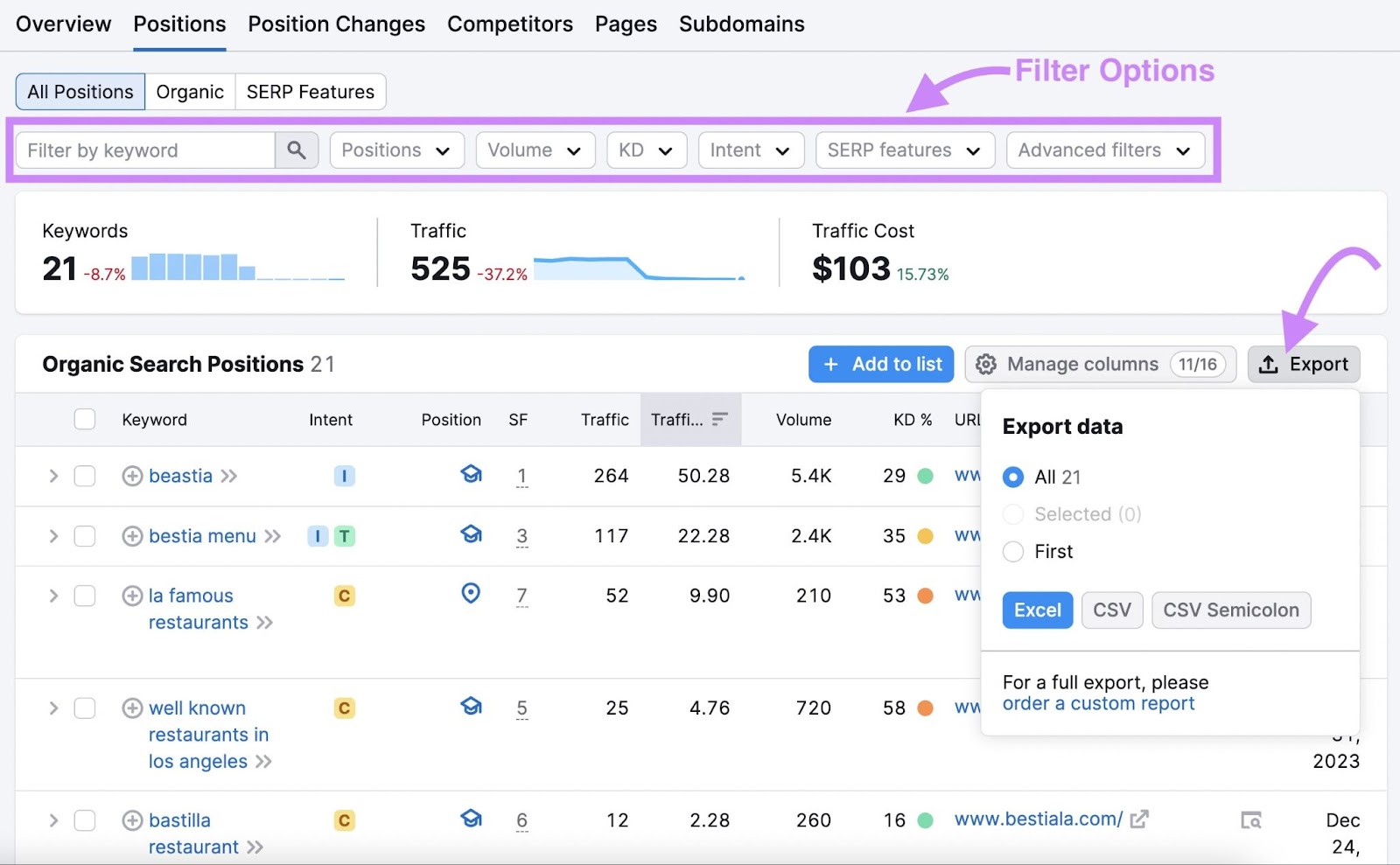 Keywords filters highlighted under the "Positions" report in Organic Research tool