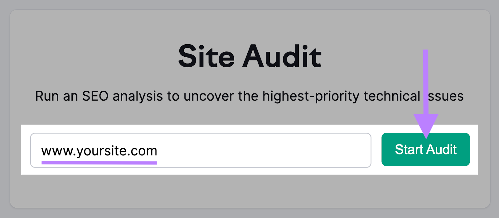 Semrush’s Site Audit tool search bar