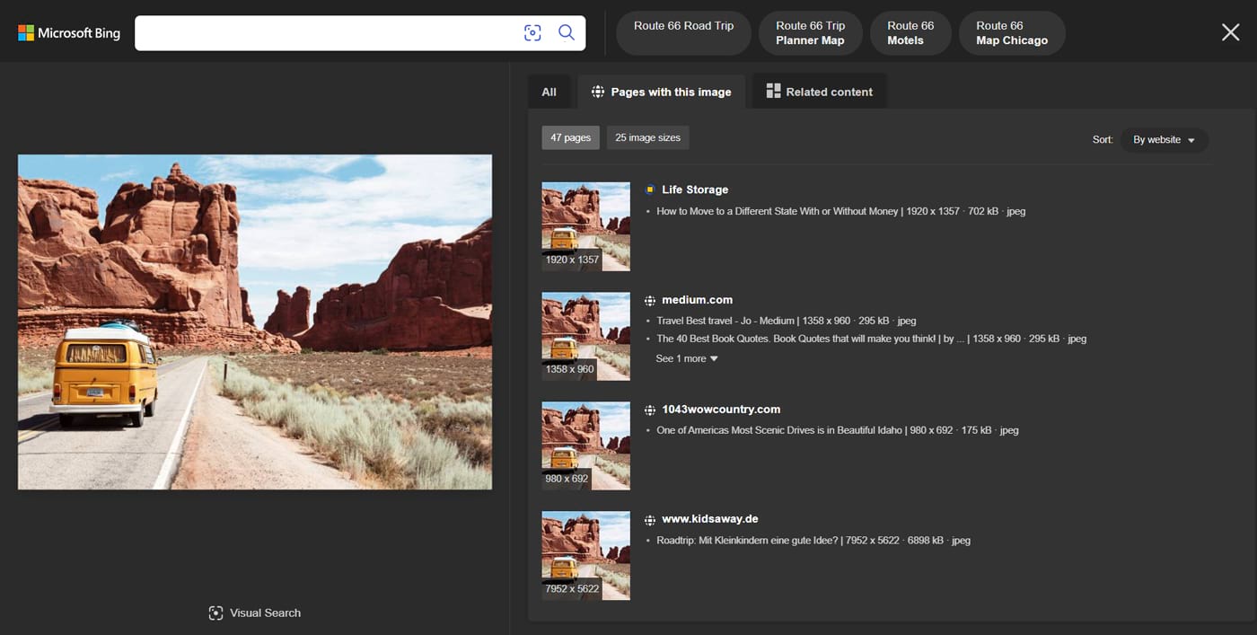 Bing Visual Search results “Pages with this image"