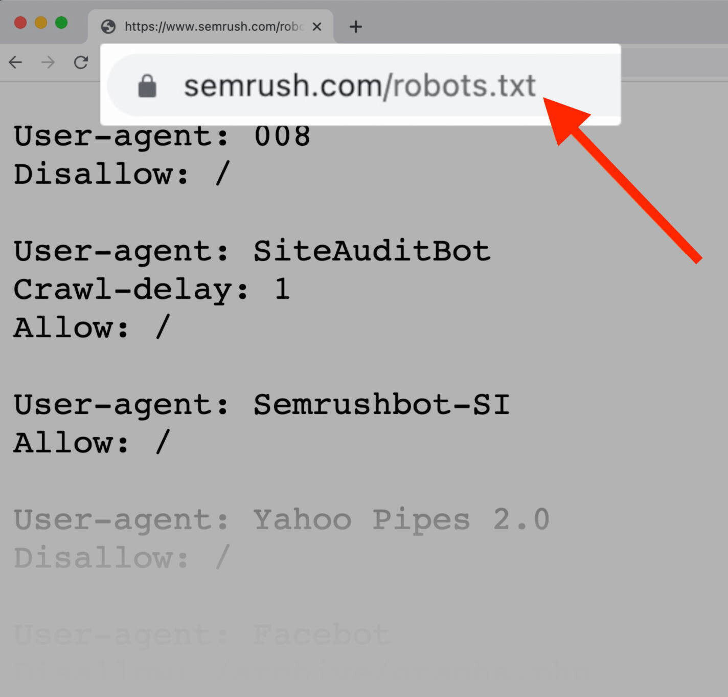 robots.txt url sample