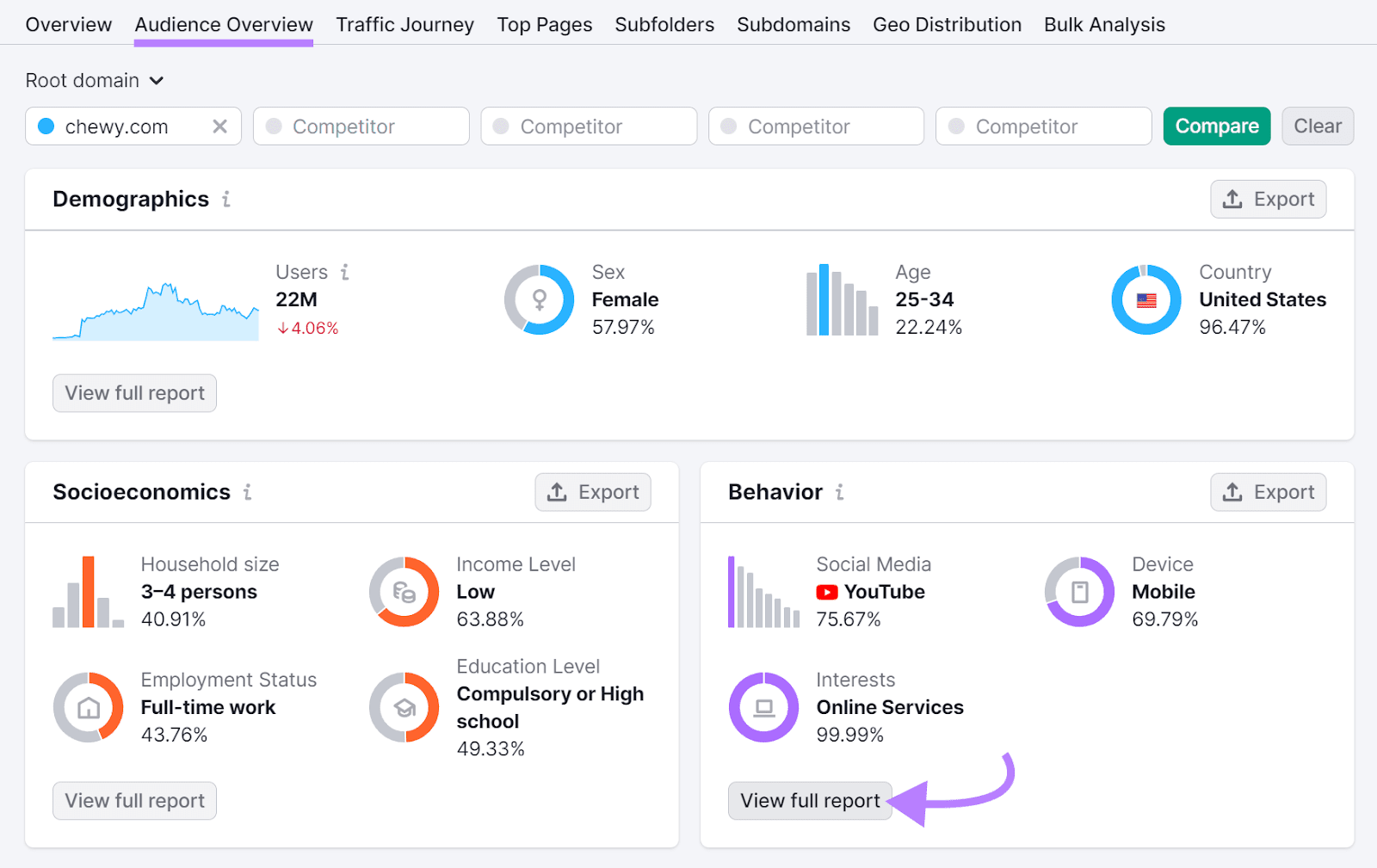 Audience Overview dashboard in Traffic Analytics tool