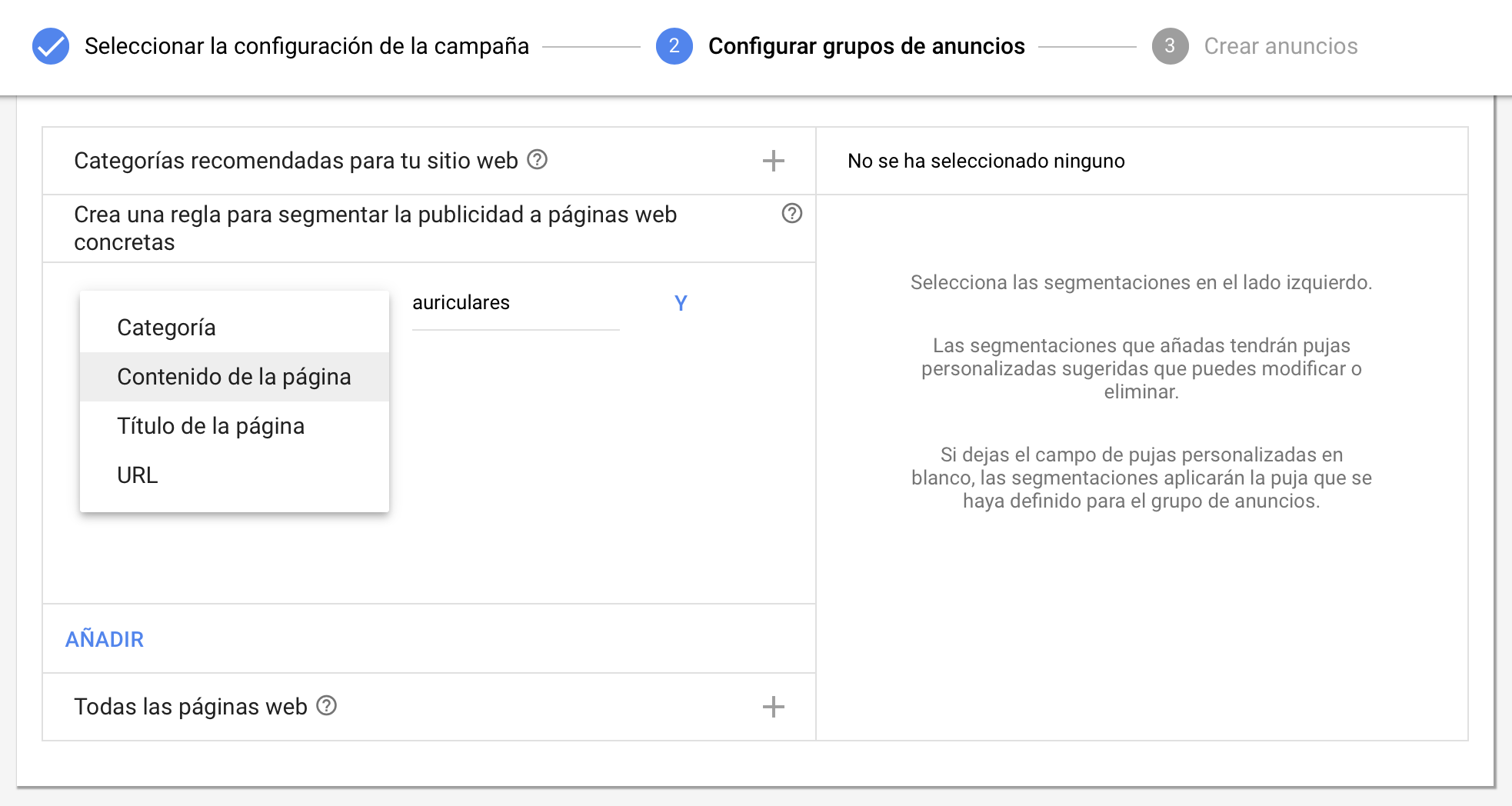 Anuncios dinámicos de búqueda - Configuracion - Opción alternativa