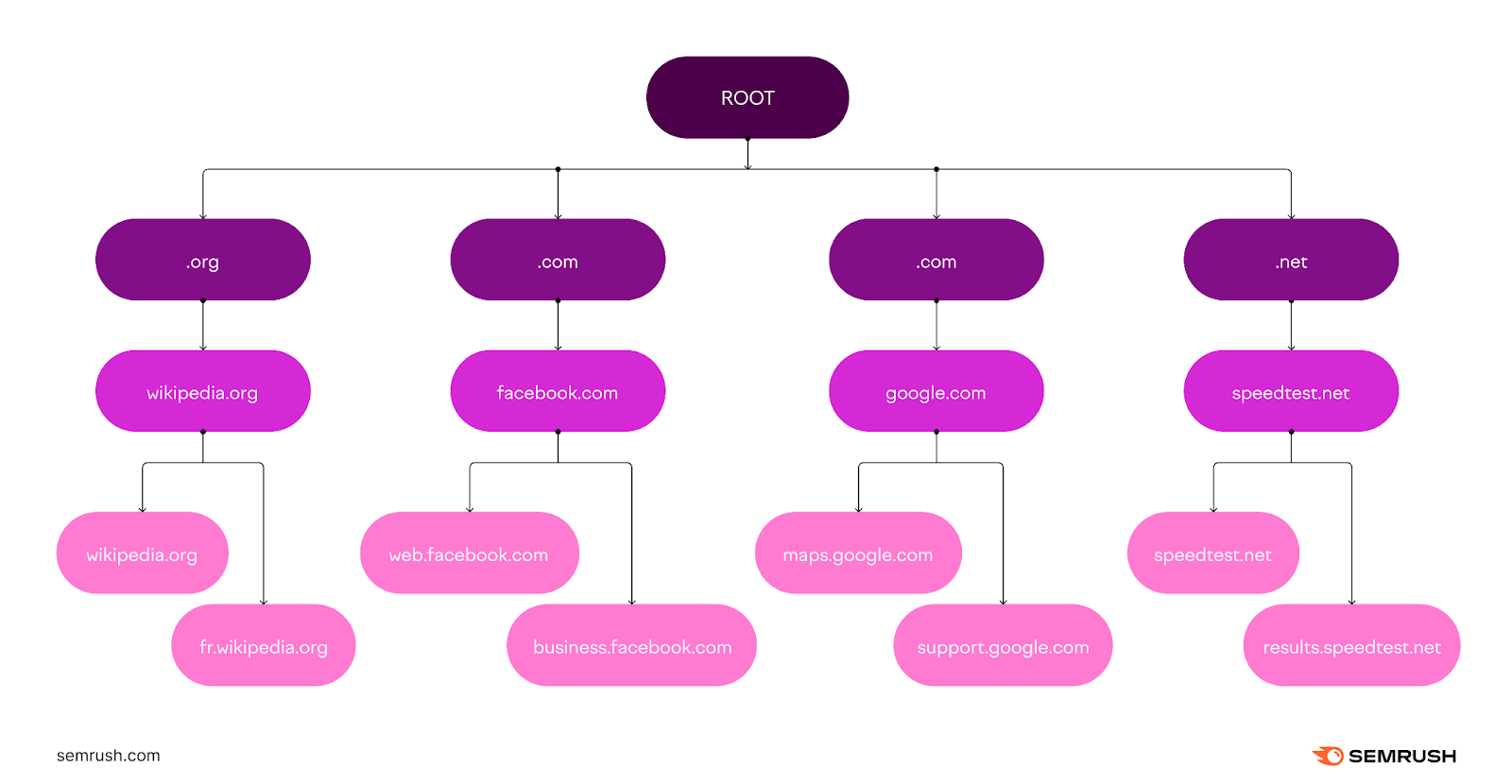 An infographic showing domain hierarchy