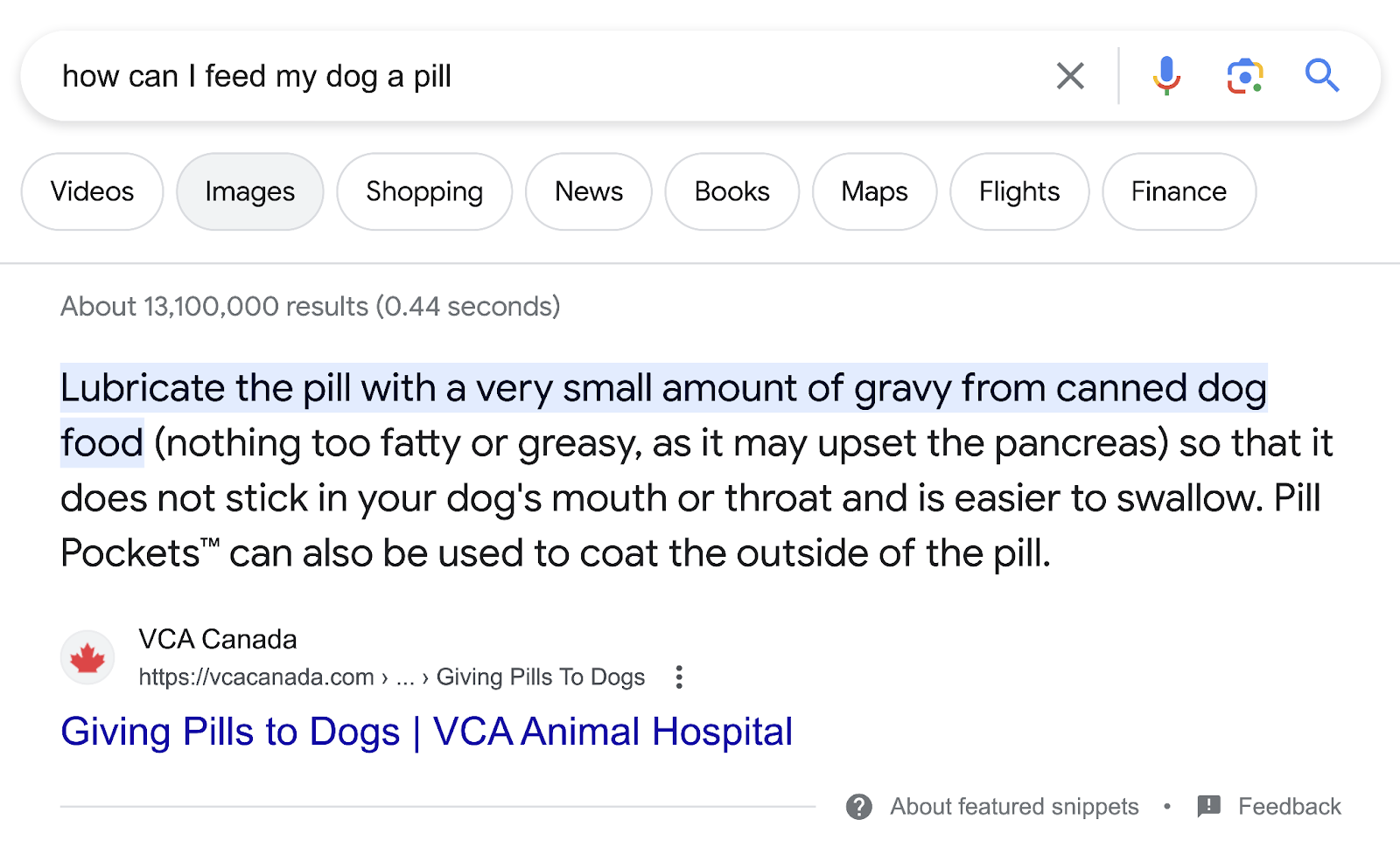 first results on Google for “How can I feed my  a pill?” query shows a page from VCA Animal Hospital on “Giving Pills to Dogs”