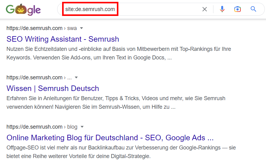 Screenshot: Google-Site-Suche