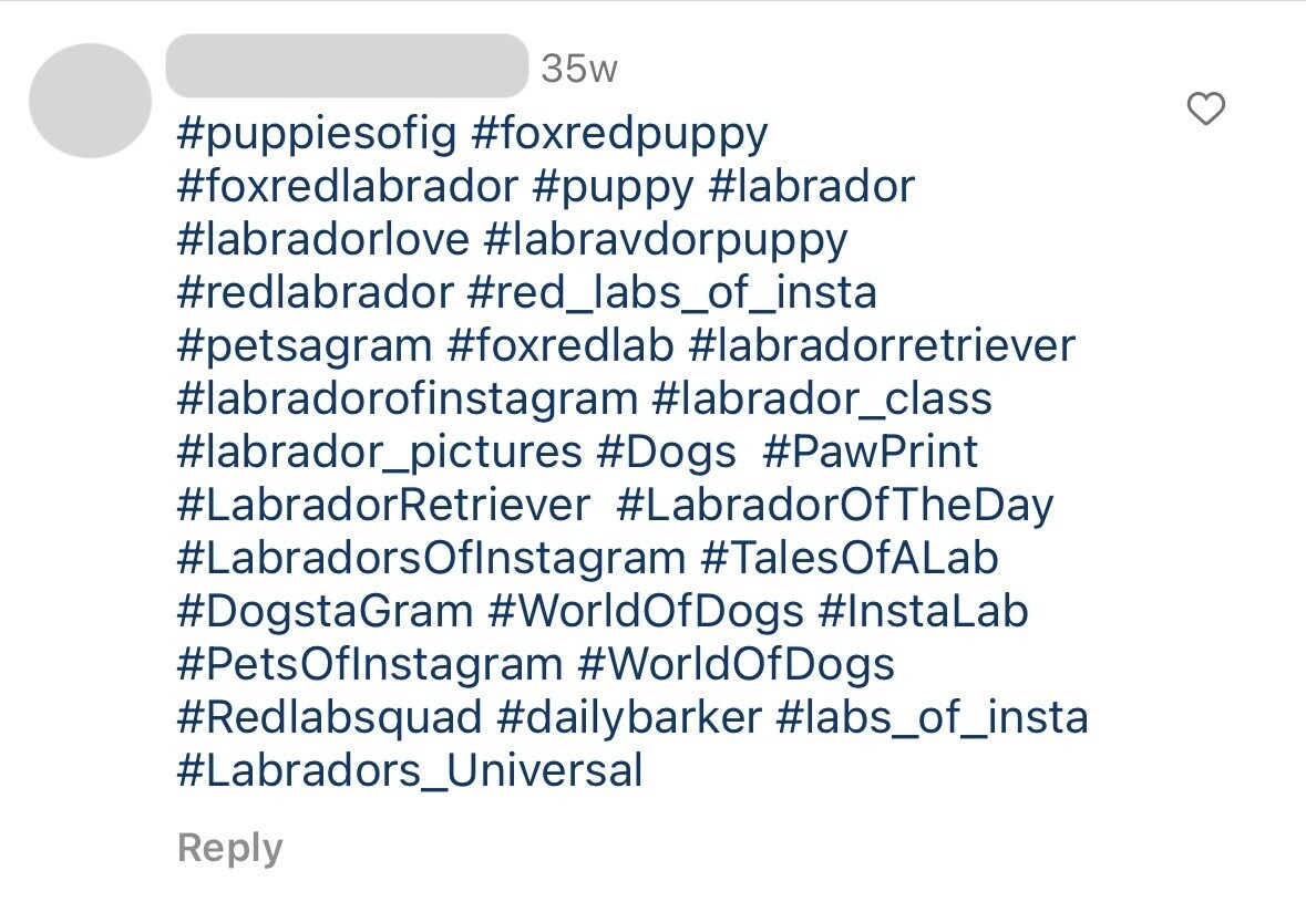 Un exemple d'utilisation de trop de hashtags dans un post.