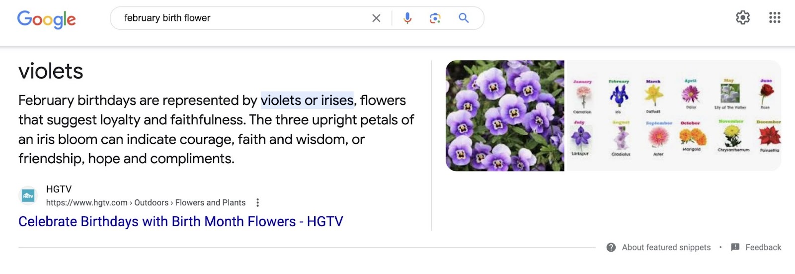 Search for February birth flowers shows the answer violets, along with a short description from a relevant site and images.