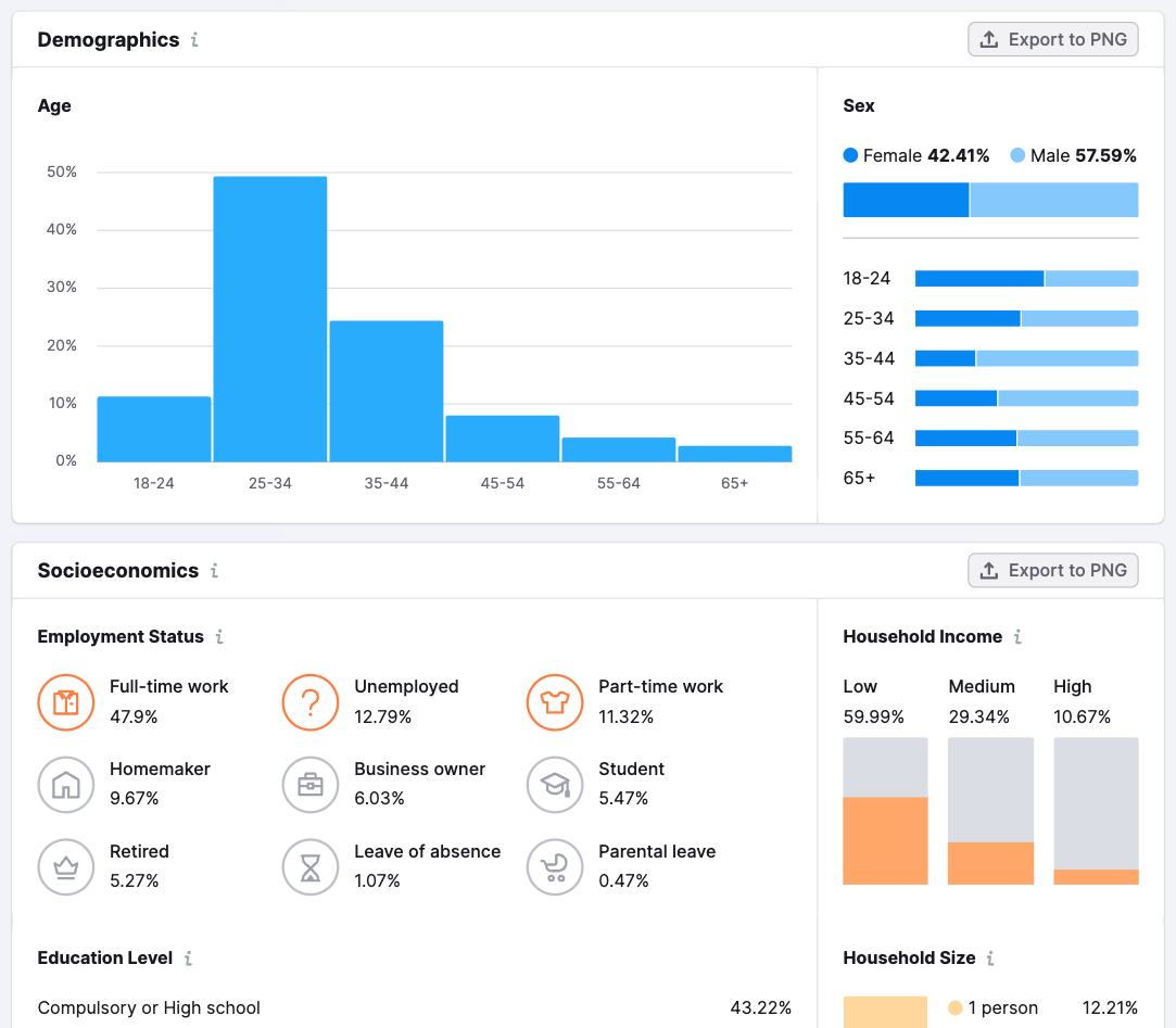 "Demographics," and "Socioeconomics" sections of Audience report