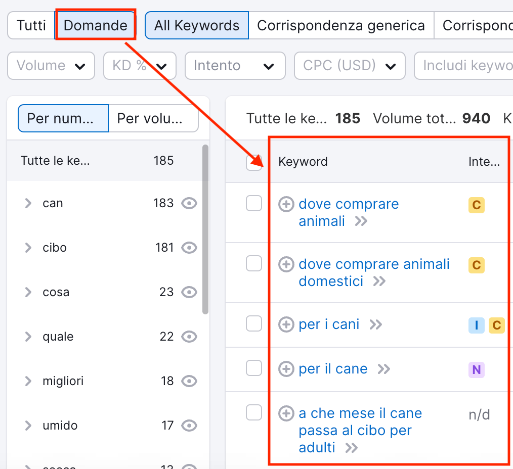 Il filtro Domande di Keyword Magic Tool