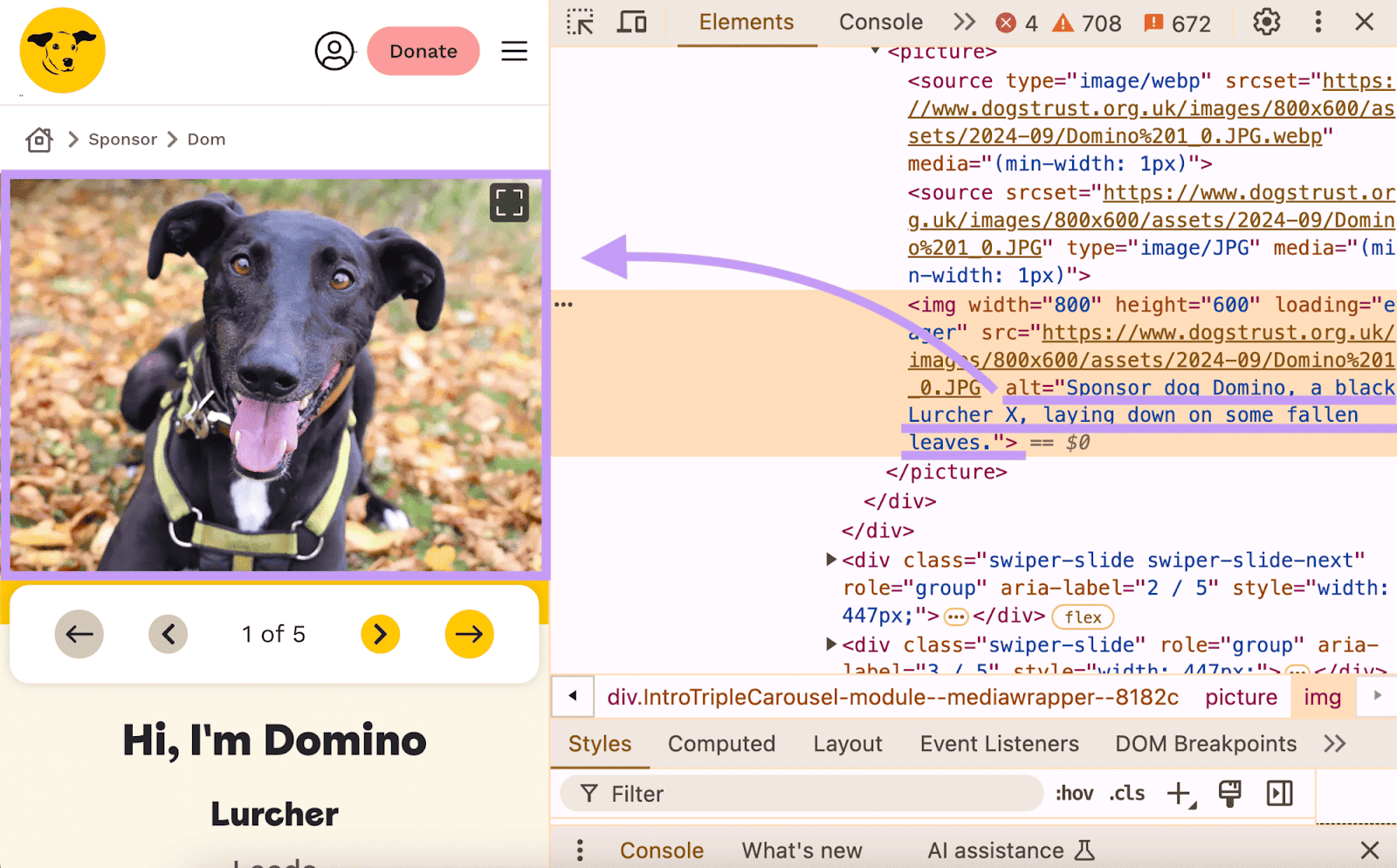 Alt substance   recovered  successful  a page's codification  for a canine  representation   that says "Sponsor canine  Domino, a achromatic  Lurcher X, laying down   connected  immoderate   fallen leaves."