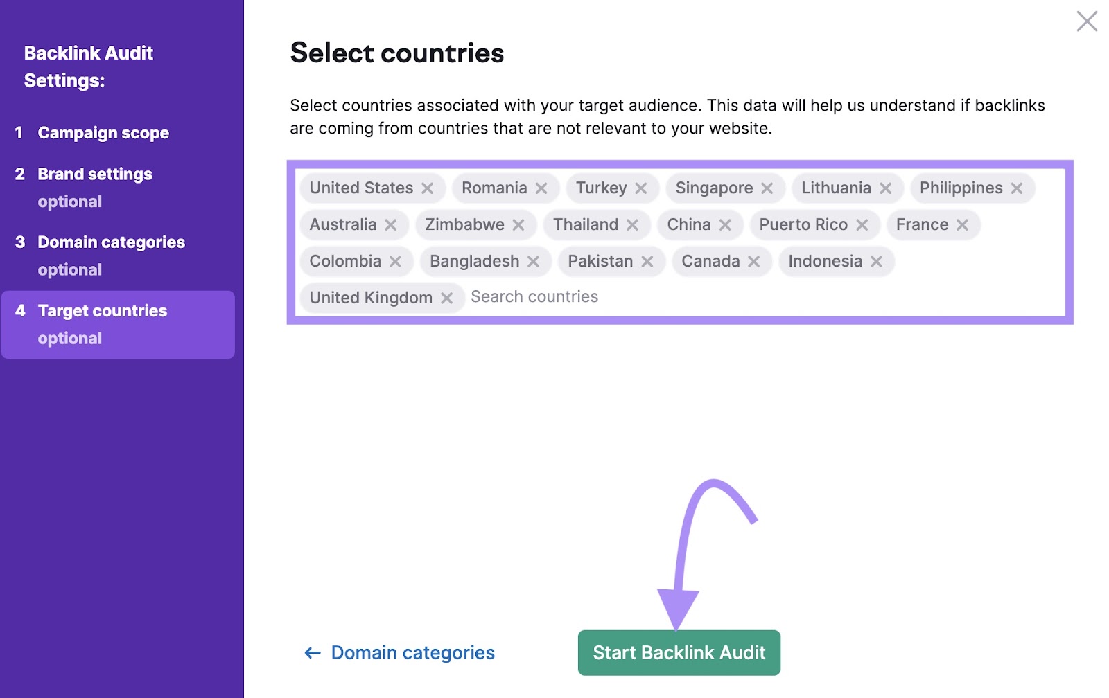 "Select countries" model   successful  Backlink Audit settings