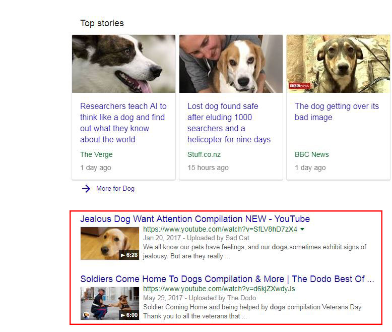 Videos at the top of the search results page