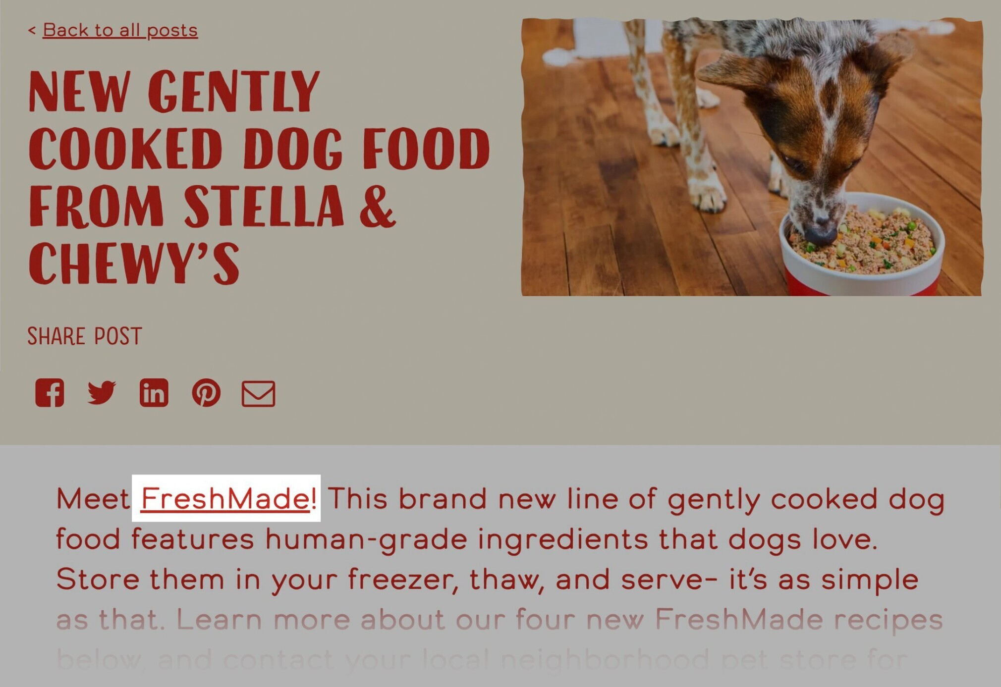 Stella & Chewy's uses that blog post to pass authority to their FreshMade Gently-Cooked Dog Food product page