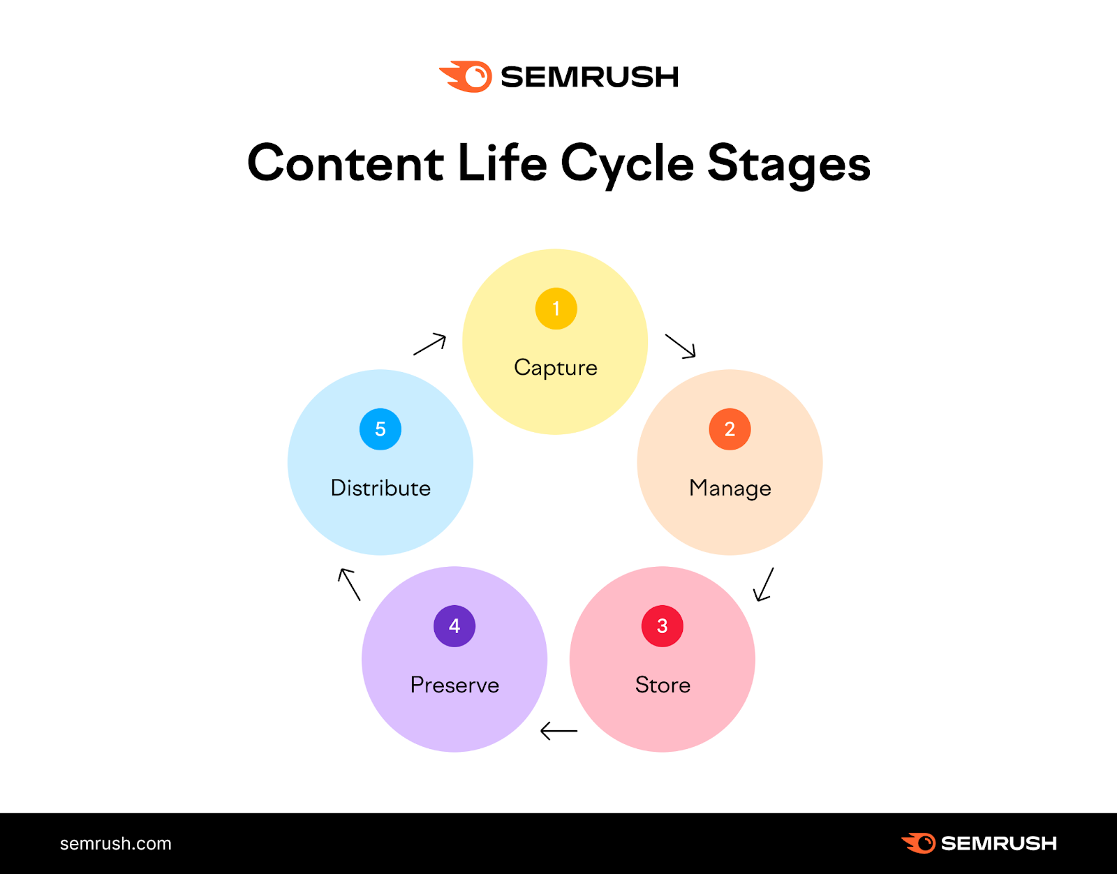 Content life cycle stages