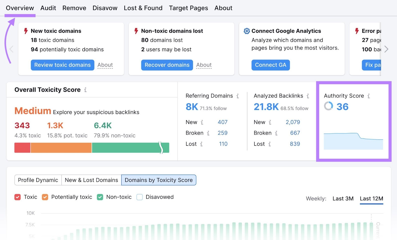 "Overview" conception  successful  Backlink Audit tool