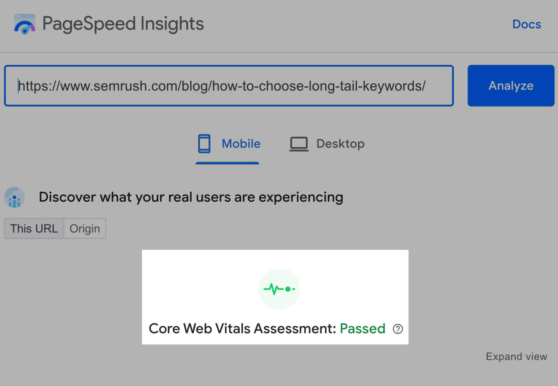 PageSpeed Insights test results (passed)