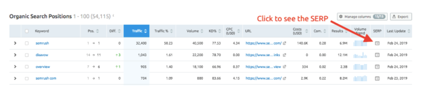 SERP ORM example