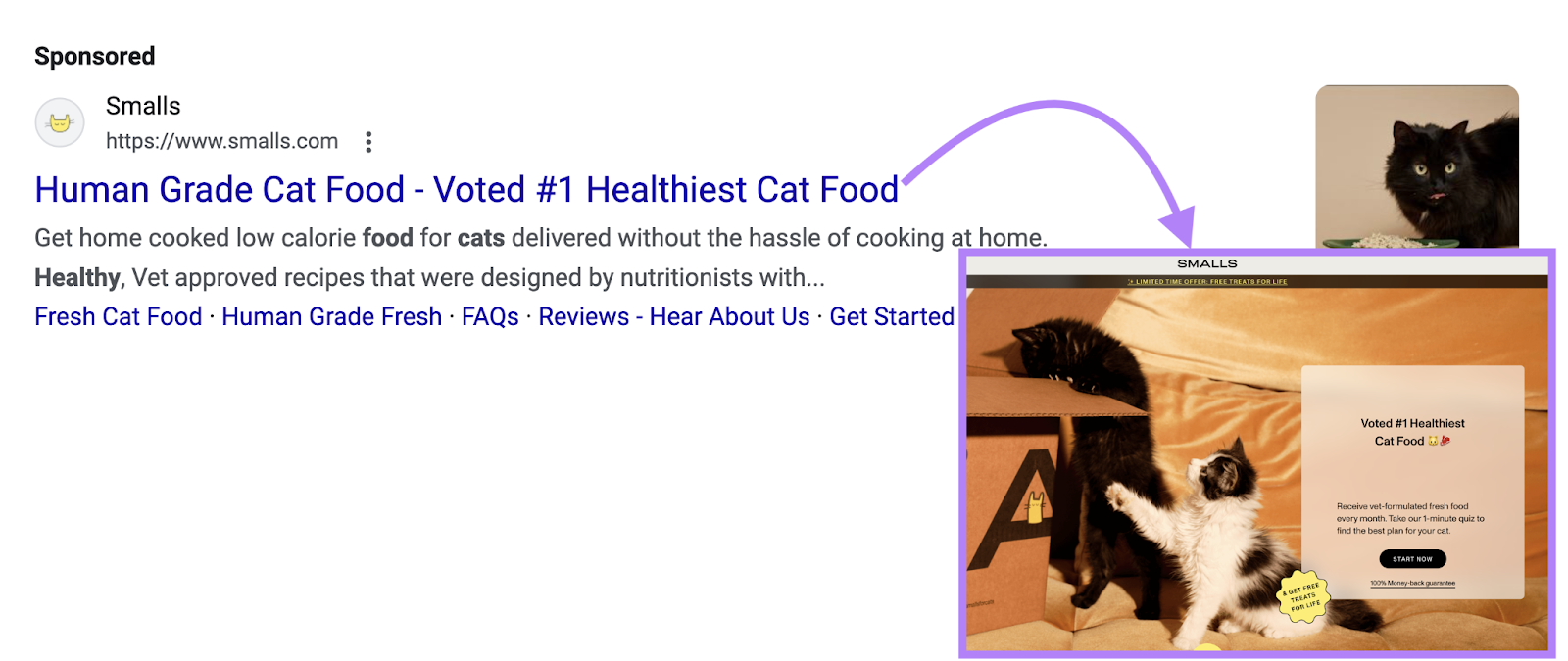 google search text add for a cat food ،nd with the destination landing page. The visuals are similar and the phrase "Voted #1 Healthiest Cat Food" is repeated.