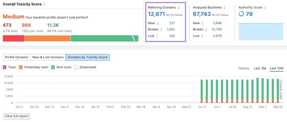 important metrics in the "Overview" tab in Backlink Audit tool