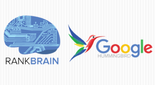 rank brain and humming bird