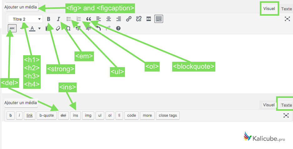 wordpress-html5-semantic-kalicube.png