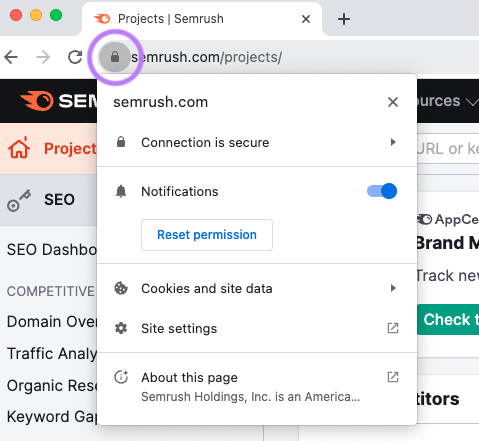 A padlock icon highlighted next to the "semrush.com/projects/" site