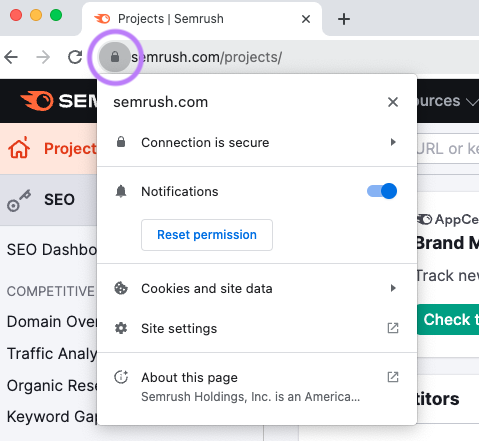 Um ícone de cadeado destacado ao lado do site "semrush.com/projects/".