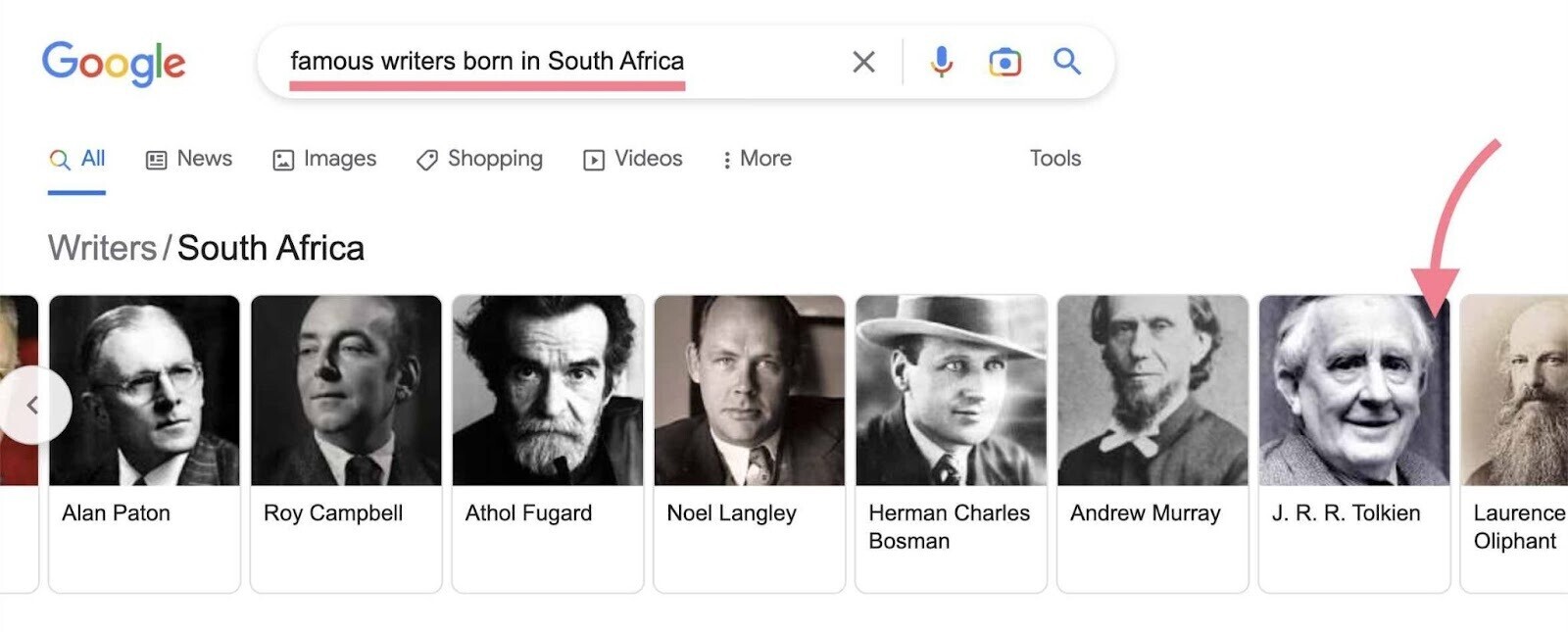 famous writers born in South Africa query