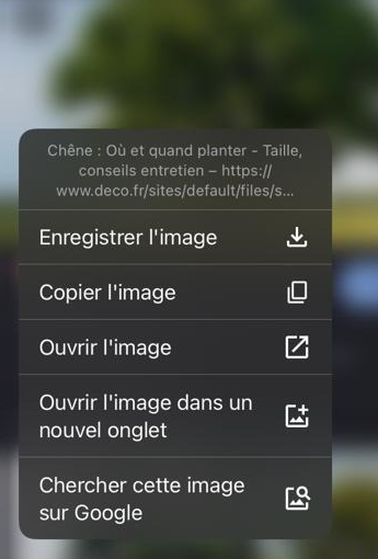 Les Avantages De La Recherche D‘image Inversée