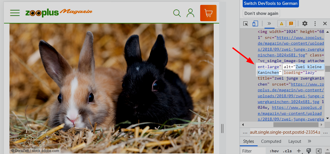 Beispiel: Alt-Text bei Zooplus Magazin