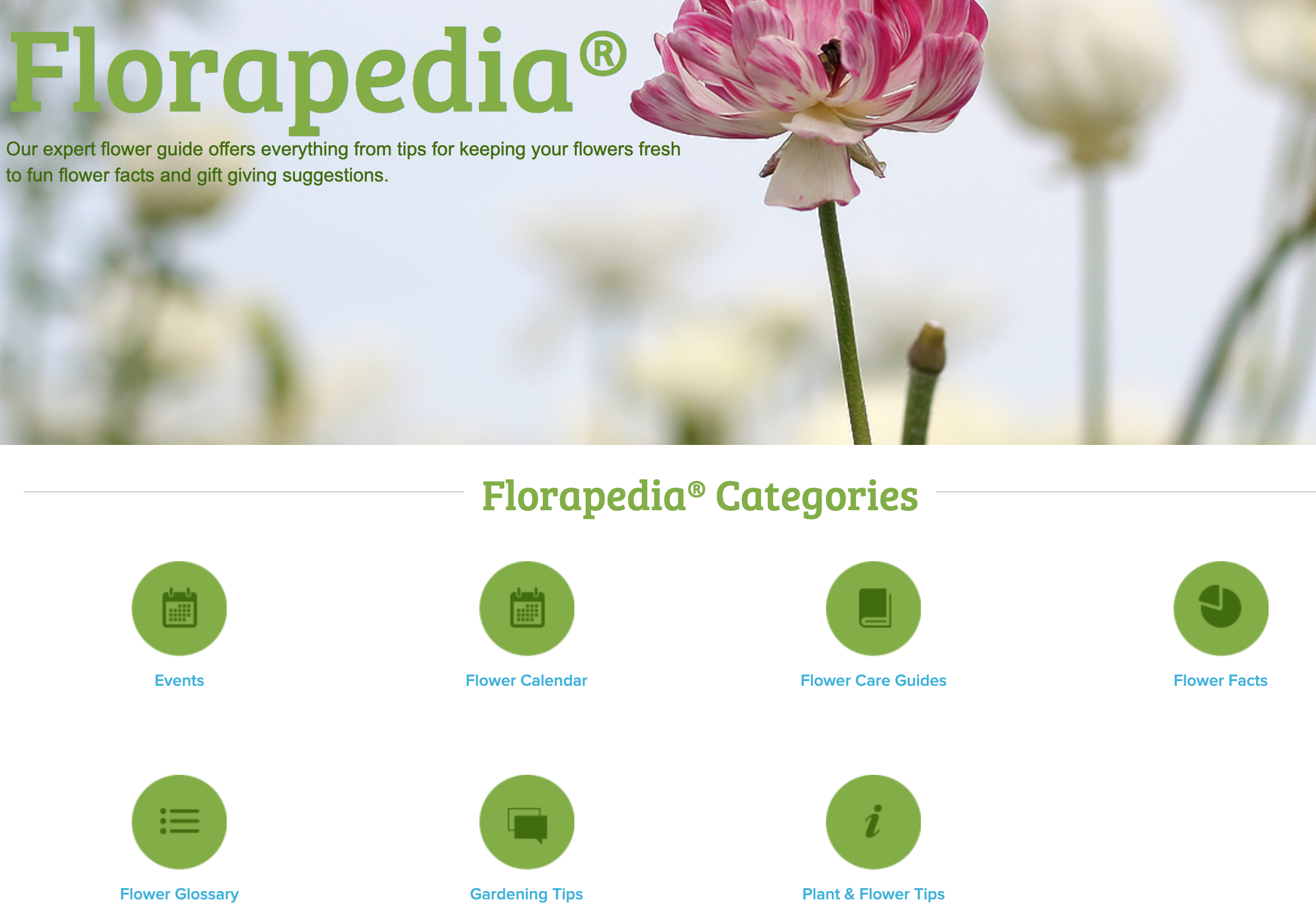 L'encyclopédie des fleurs "Florapedia" sur ProFlowers.com