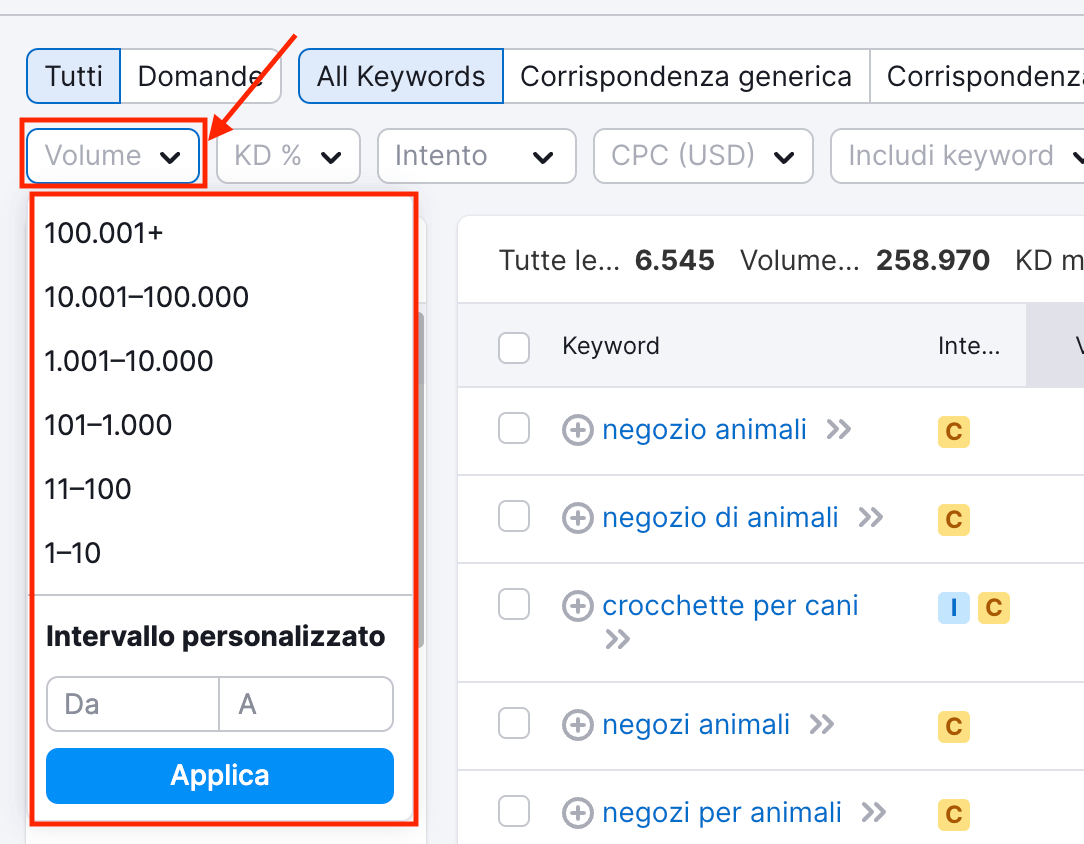 Come filtrare per volume delle parole chiave su Keyword Magic Tool