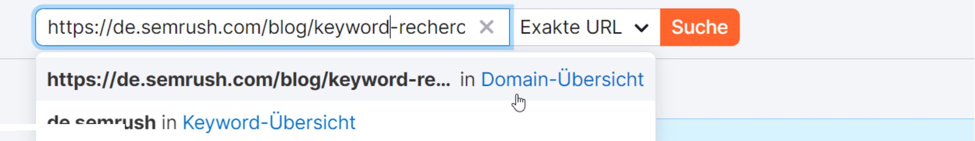 Organische Recherche - Exakte URL