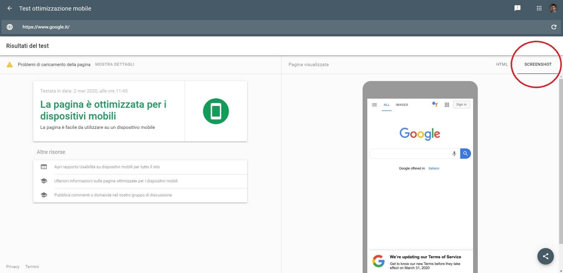 Test mobile di google (screenshot)