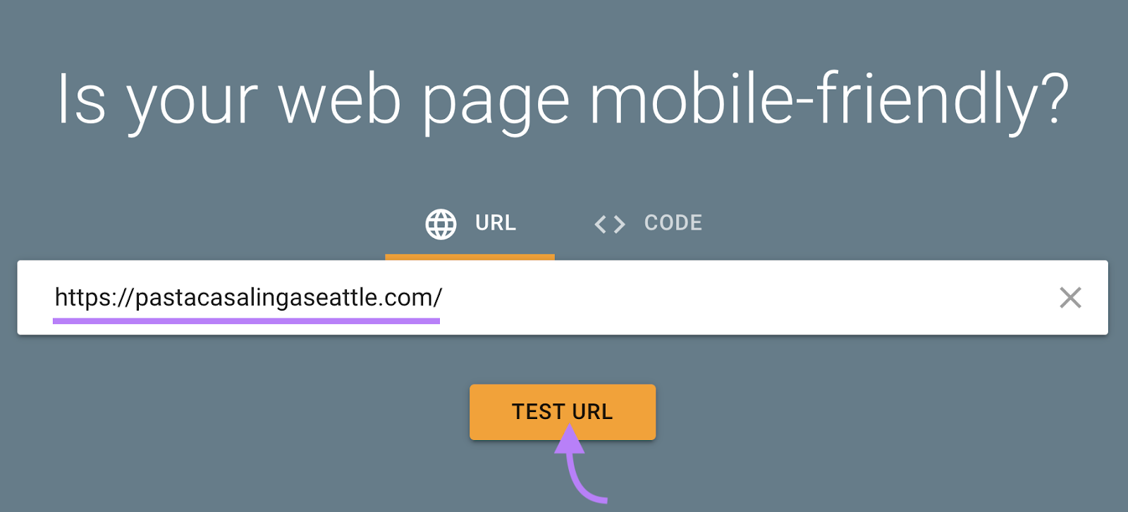 Google’s Mobile-Friendly Test