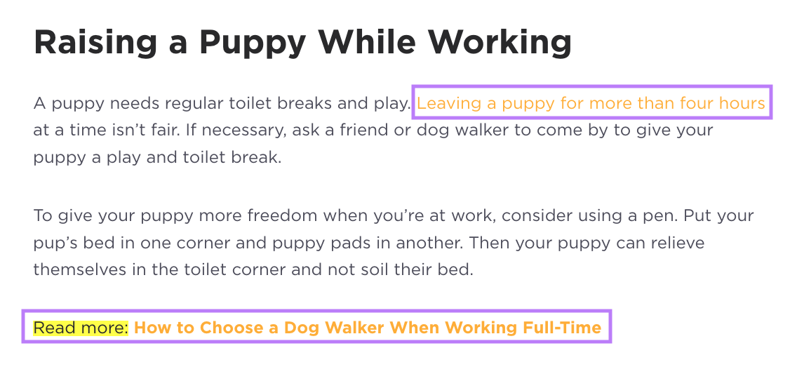 "Raising a Puppy While Working" section of Petcube's Puppy Care Guide