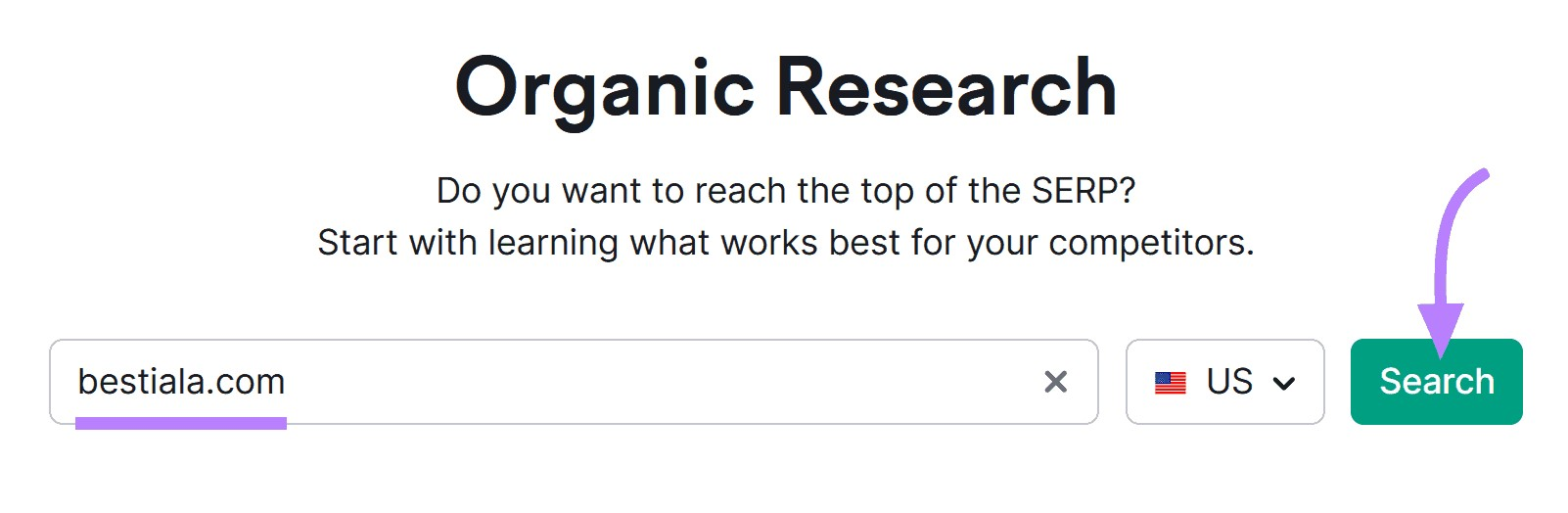 "bestiala.com" entered into the Organic Research search bar