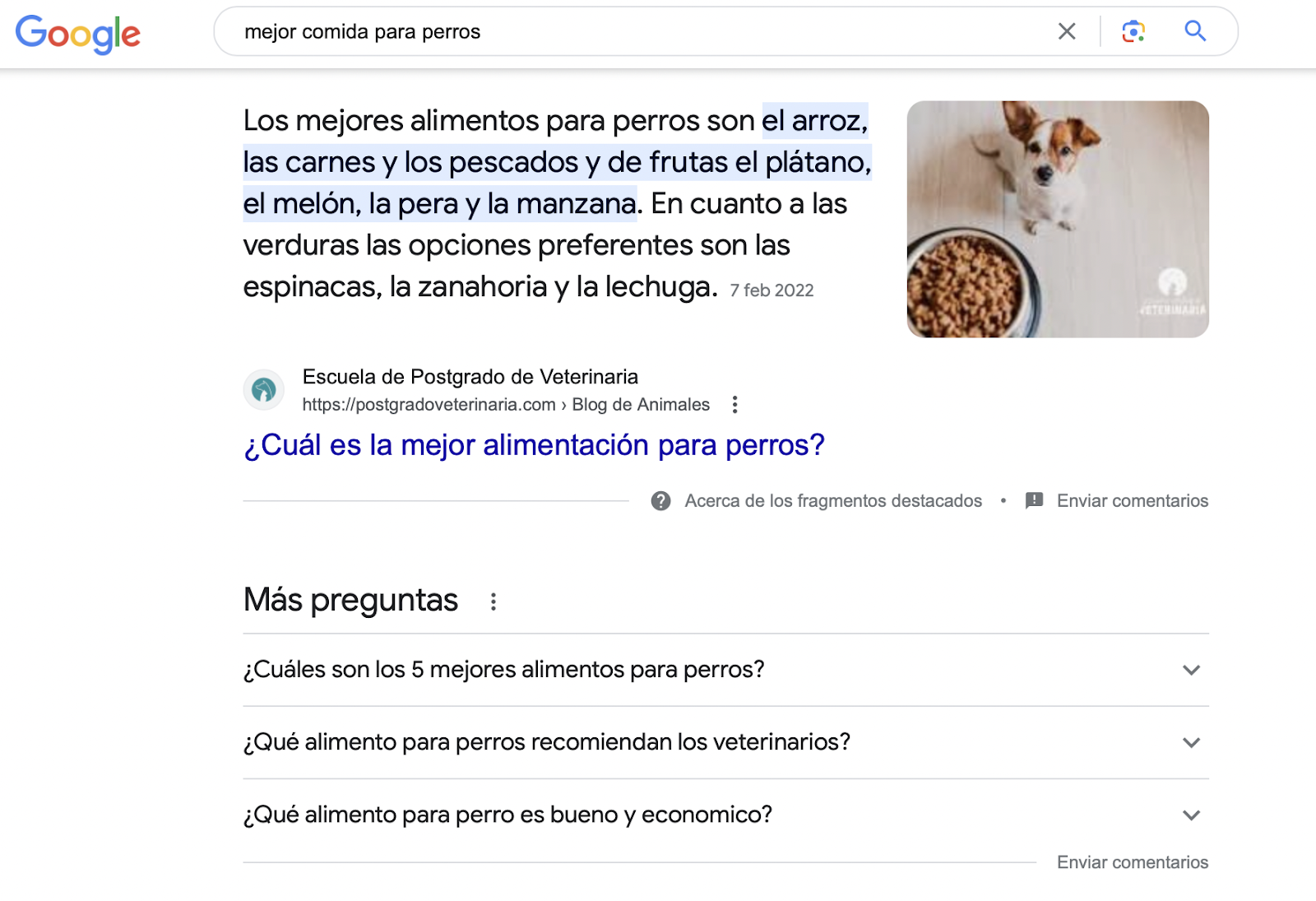 Ejemplo de la SERP de la palabra clave "mejor comida para perros"