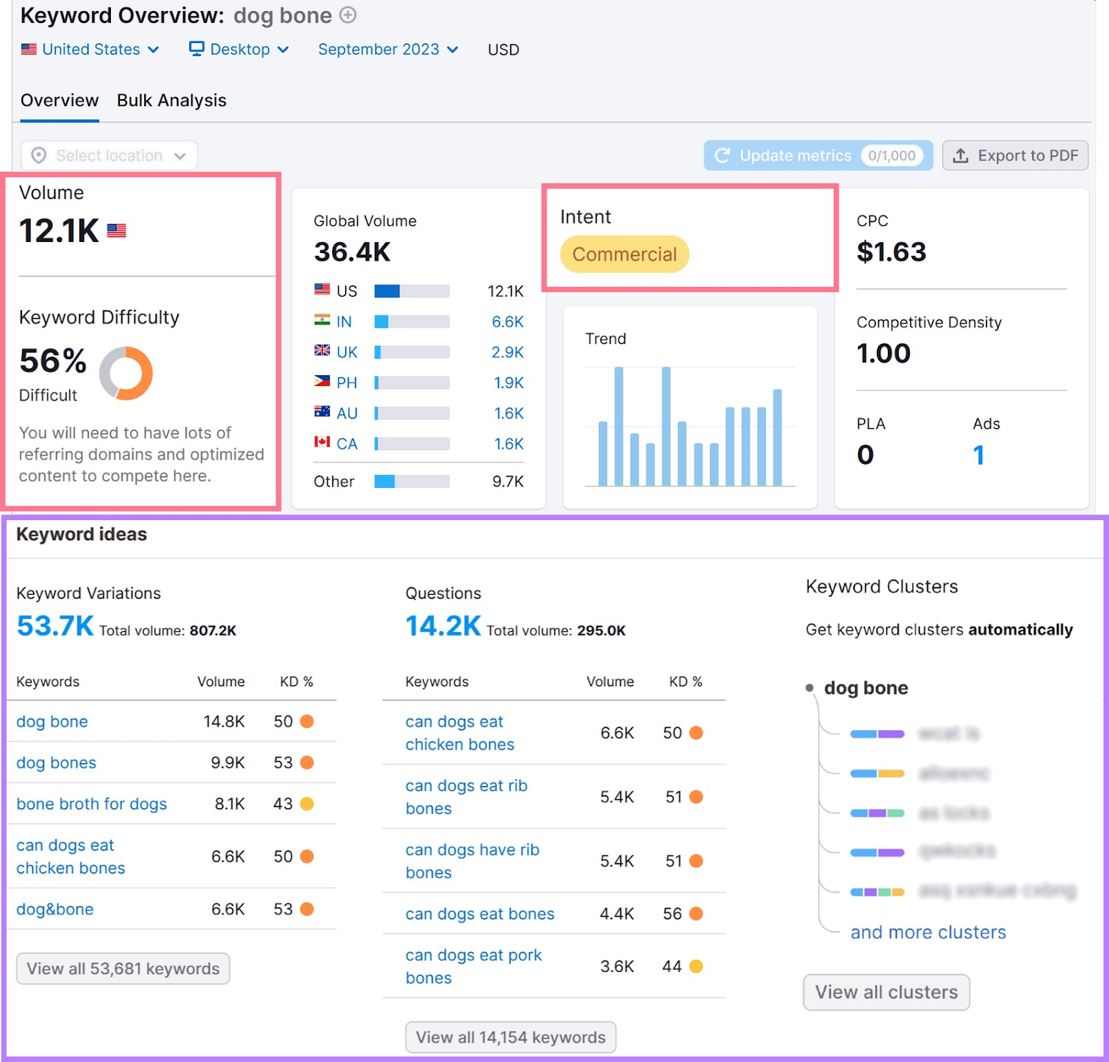 The Keyword Overview report for "dog bone"